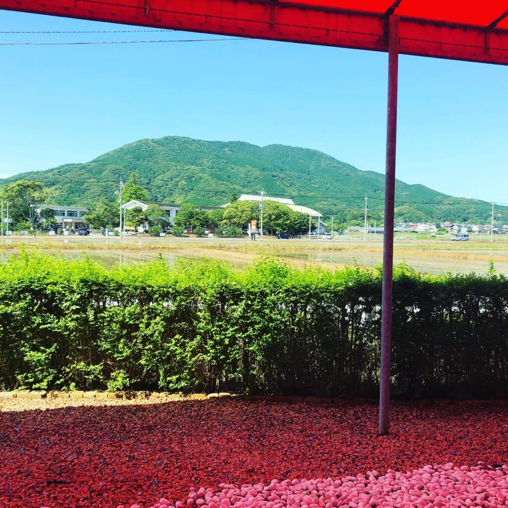 グローウェルカフェ・景色